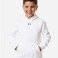 Under Armour Youth Team Icon Fleece Hooded Sweatshirt