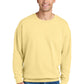 Comfort Colors   Lightweight Crewneck Sweatshirt 1466