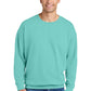 Comfort Colors   Lightweight Crewneck Sweatshirt 1466