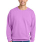 Comfort Colors   Lightweight Crewneck Sweatshirt 1466