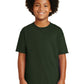 Gildan   - Youth Ultra Cotton  100% US Cotton T-Shirt. 2000B