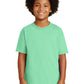 Gildan   - Youth Ultra Cotton  100% US Cotton T-Shirt. 2000B