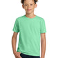 Gildan   - Youth Ultra Cotton  100% US Cotton T-Shirt. 2000B