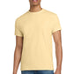 Gildan   - Ultra Cotton   100% US Cotton T-Shirt.  2000