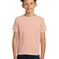 Gildan   - Youth  Heavy Cotton   100% Cotton T-Shirt.  5000B