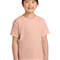 Gildan   Youth Softstyle   CVC Tee 64000BCVC
