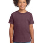 Gildan Youth Softstyle   T-Shirt 64000B