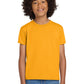 Gildan   Youth DryBlend   50 Cotton/50 Poly T-Shirt.  8000B
