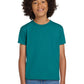 Gildan   Youth DryBlend   50 Cotton/50 Poly T-Shirt.  8000B