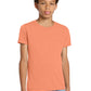 BELLA+CANVAS  ®  Youth Triblend Short Sleeve Tee. BC3413Y | Add Your Logo
