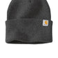 Carhartt   Watch Cap 2.0 CT104597