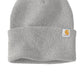 Carhartt   Watch Cap 2.0 CT104597