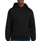 District ®  V.I.T. ™  Heavyweight Fleece Hoodie DT6150 | Add Your Logo