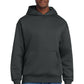 District ®  V.I.T. ™  Heavyweight Fleece Hoodie DT6150 | Add Your Logo