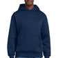District ®  V.I.T. ™  Heavyweight Fleece Hoodie DT6150 | Add Your Logo