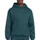 District ®  V.I.T. ™  Heavyweight Fleece Hoodie DT6150 | Add Your Logo