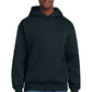District ®  V.I.T. ™  Heavyweight Fleece Hoodie DT6150 | Add Your Logo