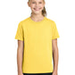 Port & Co   Youth Easy Cotton Tee PC43Y